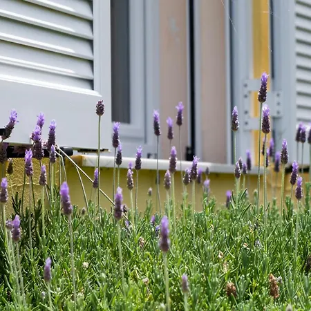 Prázdninový dům Scorpina *