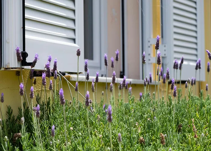 Σπίτι διακοπών Scorpina *